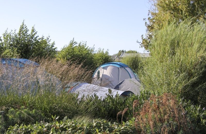 Tent meadow